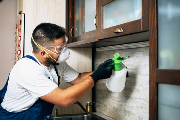 Best Local Pest Control Services  in Armada, MI