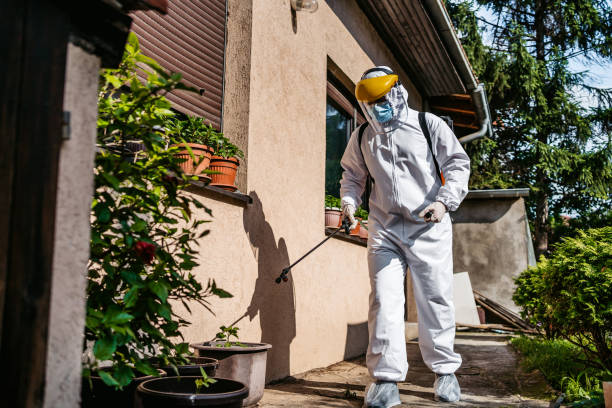 Best Pest Control Near Me in Armada, MI