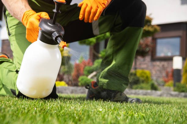 Best Wasp Removal Services  in Armada, MI
