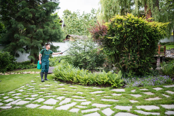 Best Residential Pest Control  in Armada, MI