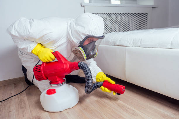 Best Affordable Pest Control Services  in Armada, MI