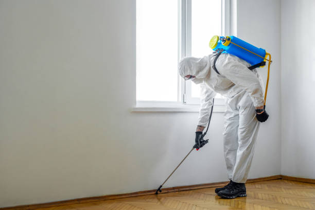Wildlife Control Services in Armada, MI