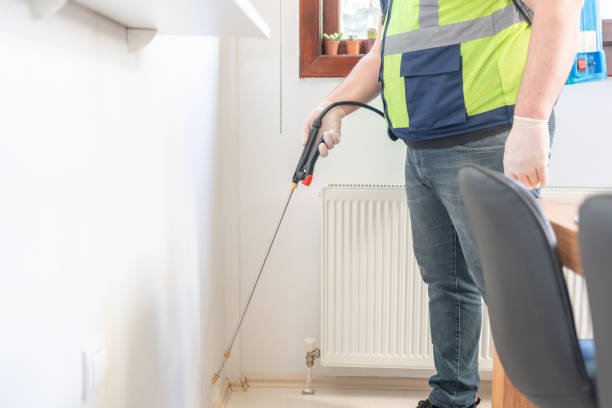 Best Termite Control Services  in Armada, MI