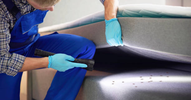 Best Flea Control Services  in Armada, MI