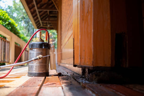 Wasp Removal Services in Armada, MI