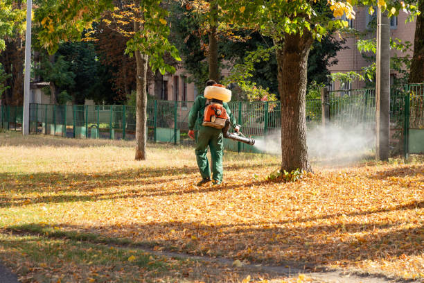 Best Bed Bug Extermination  in Armada, MI