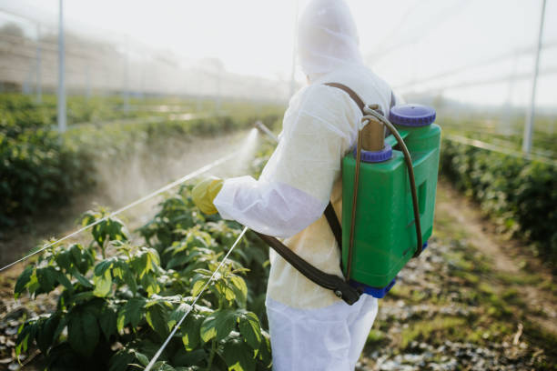 Best Wasp Removal Services  in Armada, MI